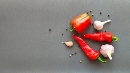 Composition of pepper, chili and garlic on gray background, top view with space for text