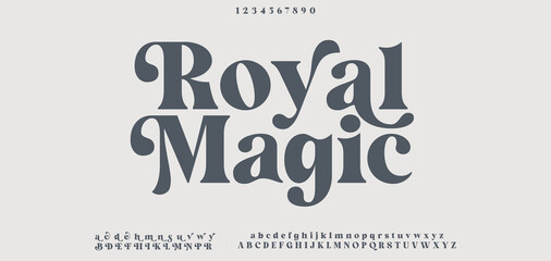 Lettering Fashion Designs. Modern elegant alphabet letters font and number. Minimalist typography fonts regular, typeface uppercase and lowercase. © DesignerST