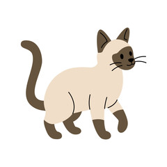 Cute cartoon Siamese cat walking. Flat vector kitten illustration for pet themes, children designs and animal projects