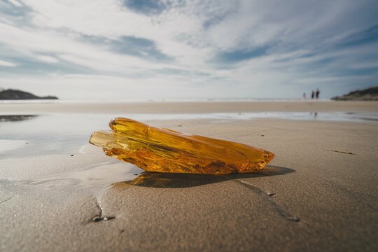 Amber gemstone on beach sand baltic sea coast fossilized tree resin find nature