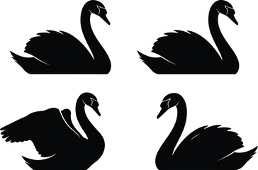 Set of four elegant black swan silhouettes featuring swimming and wing poses, isolated on white background for nature logo or wedding design.