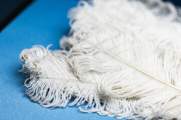 A delicate white ostrich feathers, vintage fan