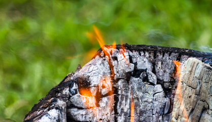 A charred wood log burns with vivid orange flames, set against a green background