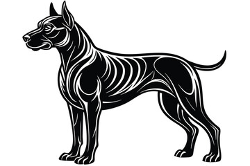 Doberman dog standing in different angles silhouette isolated on white background.