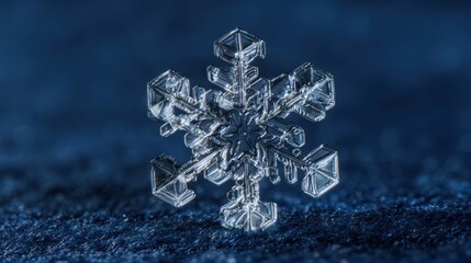 extreme macro of a single ice crystal snowflake on a cold navy blue surface hyper detailed geometric structure icy sparkle