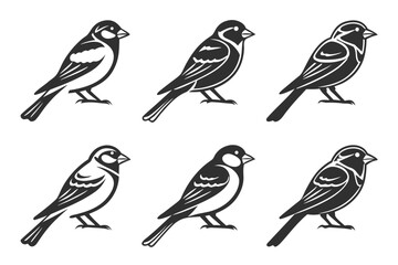 Minimalist sparrow icon set with outline and color accents