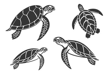 Minimalist turtle icon set with outline and color variations