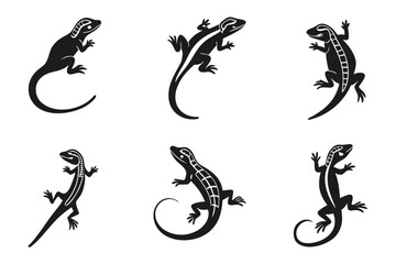 Minimalist monitor lizard icon set with vibrant colors