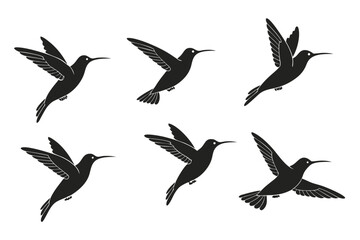Minimalist hummingbird icon set in black and yellow