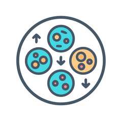 Stages of cellular reproduction depicted in a flat vector style, science and biology