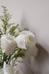 white flowers on white background