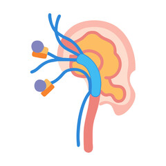 Stylized medical illustration of the human brain and blood vessels on a black background