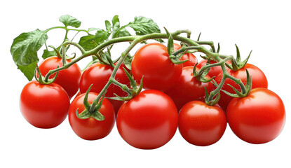 Fresh and ripe red tomatoes on the vine with green leaves