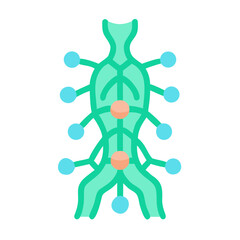 Abstract anatomical vector illustration of spine connections with nodes against black background