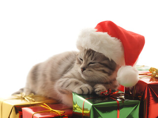 Adorable tabby kitten in a festive Santa hat, peacefully sleeping atop colorful Christmas presents. Perfect for holiday greetings, Xmas cards, and seasonal designs. Cute animal celebration.