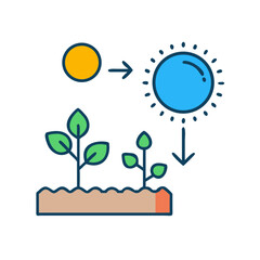Illustrative stock image of plant growth process with sun energy and photosynthesis