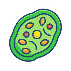 Stylized cell illustration featuring different organelles against a black background for educational use