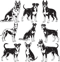 Collection of diverse dog breeds in black and white design