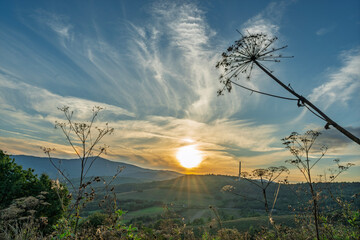 Fototapeta premium Beautiful sunset over mountain valley with dried wildflower stems silhouetted against golden sky and dramatic cloud formations above hills
