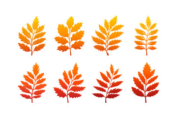 Obraz premium Autumn Leaves Collection: Vibrant Fall Foliage Illustrations.