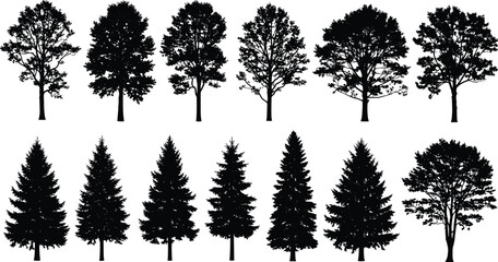Tree silhouette collection, coniferous and deciduous trees, forest icons, nature shapes, botanical elements, black vector trees, flat vector illustration © Creative_Designer 