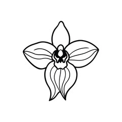 Stylized black and white orchid flower illustration