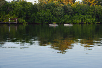 Two Kayakers Paddle Calm River by Docks at Sunset, Reflective Water and Lush Greenery. Coffee Pot Bayou St. Petersburg, FL. Glide across a calm river beside a wooden dock, with green trees and suburba