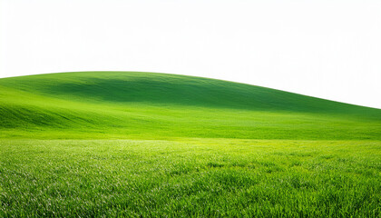 Obraz premium Vibrant Green Meadow Panorama Isolated On White Background