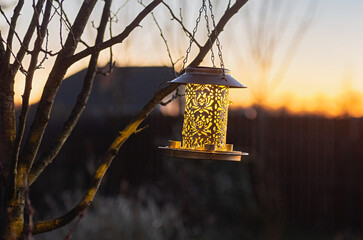 lantern bird feeder sunset glowing silhouette outdoor tree warm garden bronze
