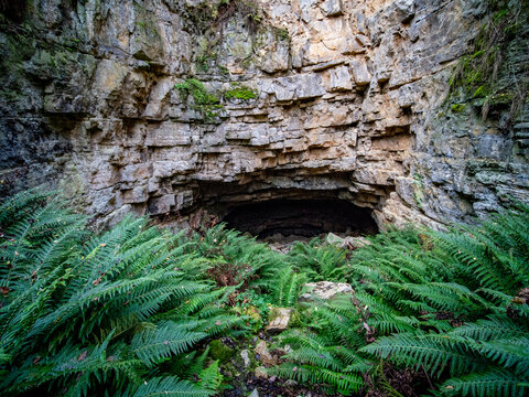 Gesteinsschichten um eine H&ouml;hle im Muschelkalk