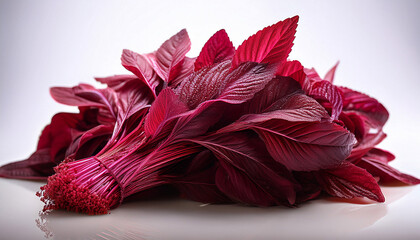 Vibrant Bunch Of Red Amaranth Leaves Freshly Harvested A Colorful And Nutritious Addition To Any Meal
