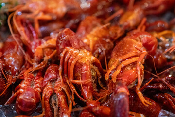 Close up of Crawfish or crawdads