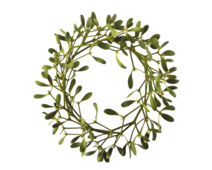 Festive mistletoe wreath with white berries on a black background. Perfect for Christmas, holiday decorations, seasonal greetings, winter themes, love, and good cheer. A beautiful, romantic symbol.