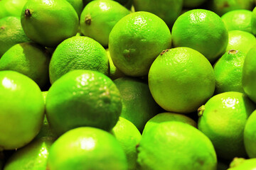 A vibrant, close-up, full-frame view of a large pile of freshly harvested, bright green lime citrus fruits with textured skin.