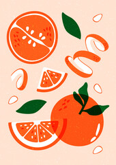 Abstract orange fruit poster. Simple summer botanical wall art with citrus plants, contemporary floral background, modern minimalist grapefruit tangerine print. Vector illustration