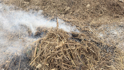 草むら野焼きの炎と煙