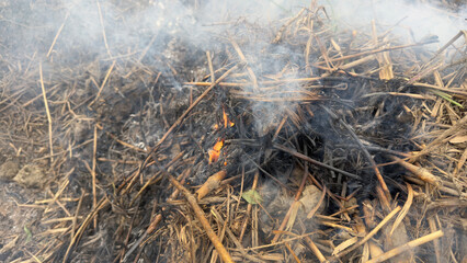 草むら野焼きの炎と煙
