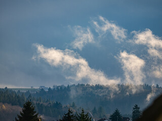 Nebelschwaden aus dem Wald steigen auf