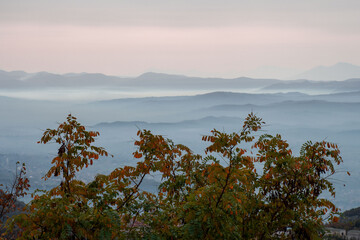 fog over the lake