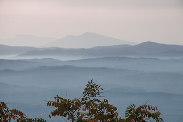 fog in the mountains