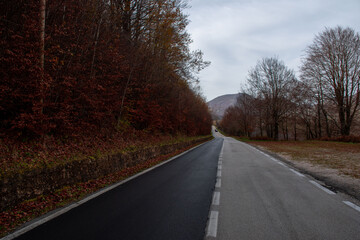 road in autumn
