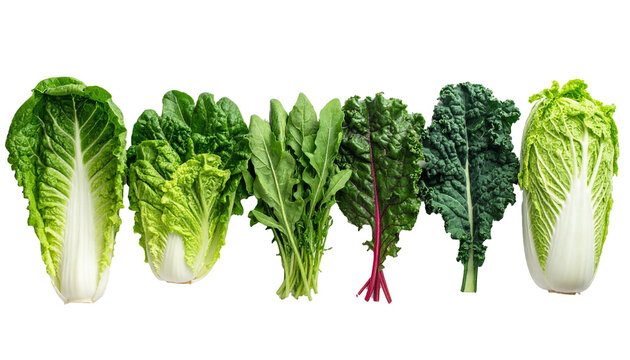 Assorted fresh leafy greens and healthy vegetables