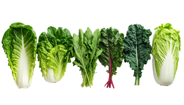 Assorted fresh leafy greens and healthy vegetables