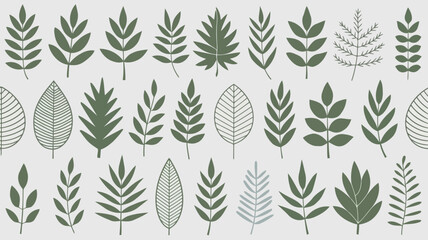 Collection of various green leaves isolated on
