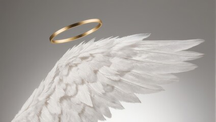 Spiritual concept with a white feathered angel wing and a golden halo.