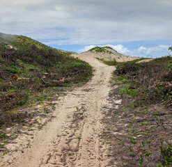 Dirt road in the dunes in brazil