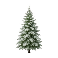 Fototapeta premium PNG Snow-covered evergreen tree illustration.