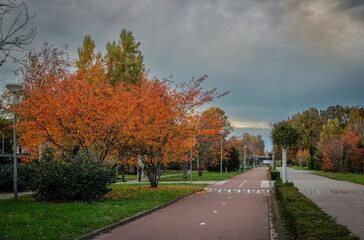 road in autumn