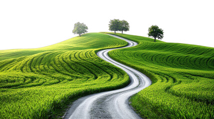 A winding road through lush green fields with trees on a hilltop