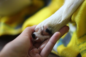 Little hands